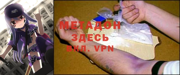 стаф Алзамай