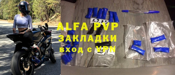 стаф Алзамай