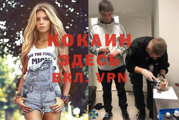 альфа пвп Алексеевка