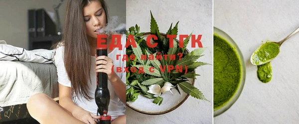 стаф Алзамай