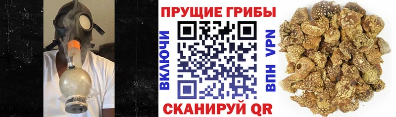 сайты даркнета формула  Сарапул  мега   Галлюциногенные грибы мицелий  магазин продажи наркотиков 